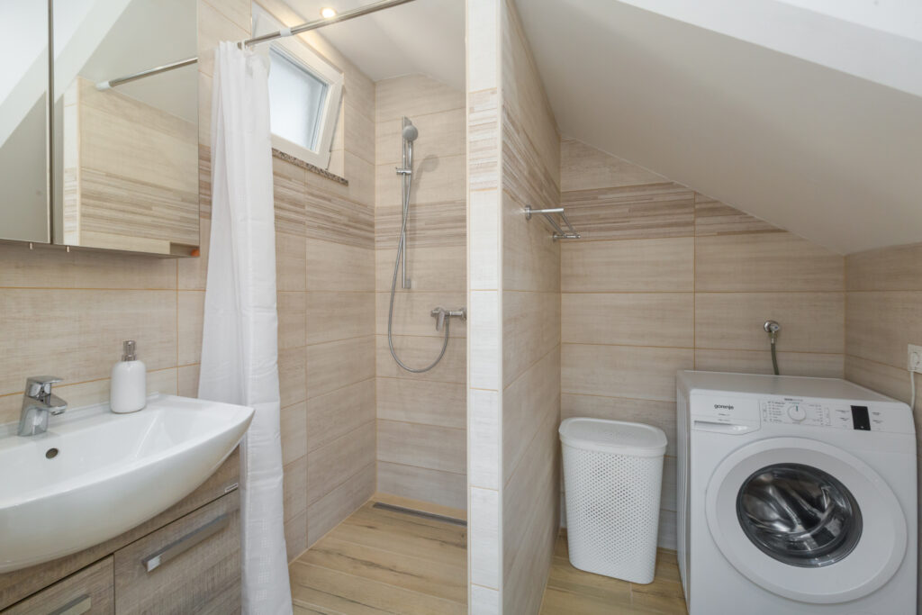 Lower level bathroom